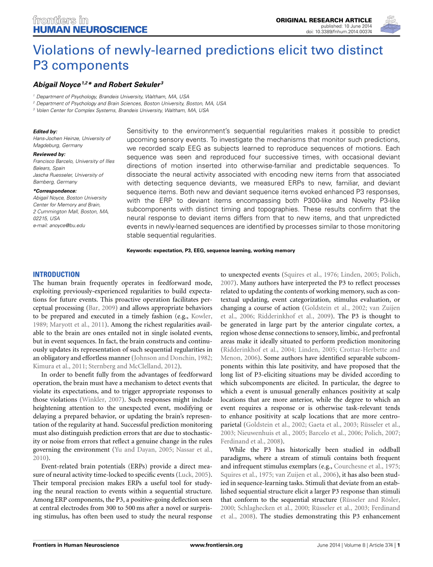 P3 Test Cram Pdf