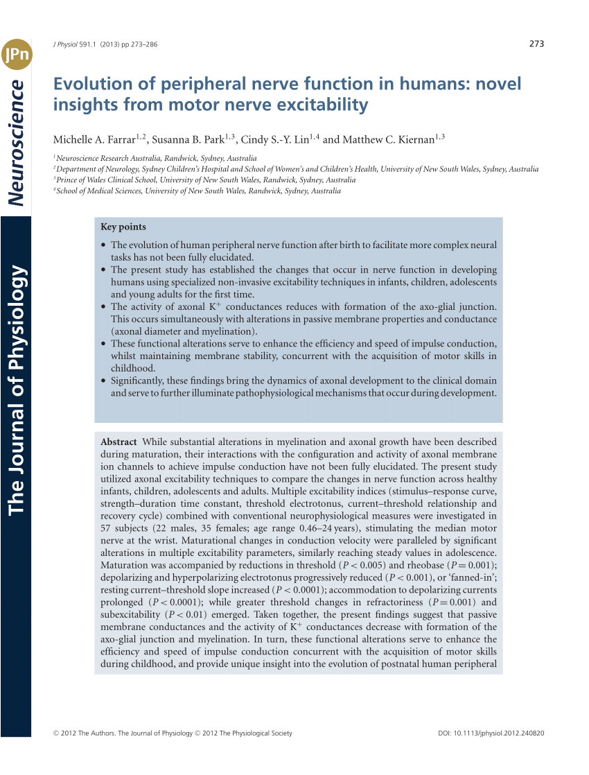 Pdf Evolution Of Peripheral Nerve Function In Humans Novel