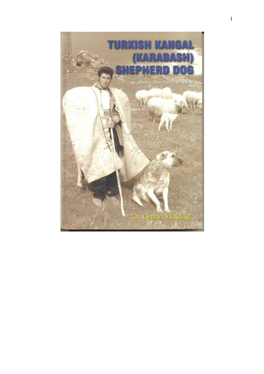 Pdf Turkish Kangal Karabash Shepherd Dog In English