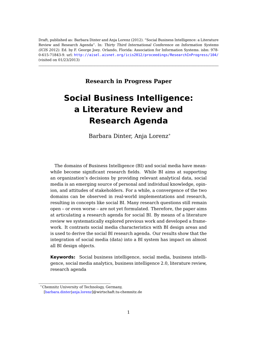 literature review on business intelligence