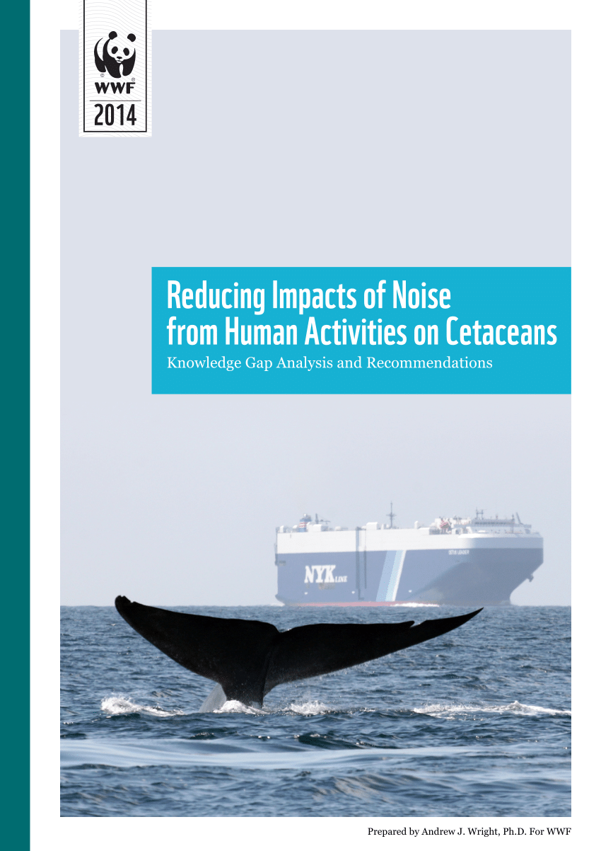 https://i1.rgstatic.net/publication/263610242_Reducing_Impacts_of_Noise_from_Human_Activities_on_Cetaceans_Knowledge_Gap_Analysis_and_Recommendations/links/0046353b59b5b2f68d000000/largepreview.png