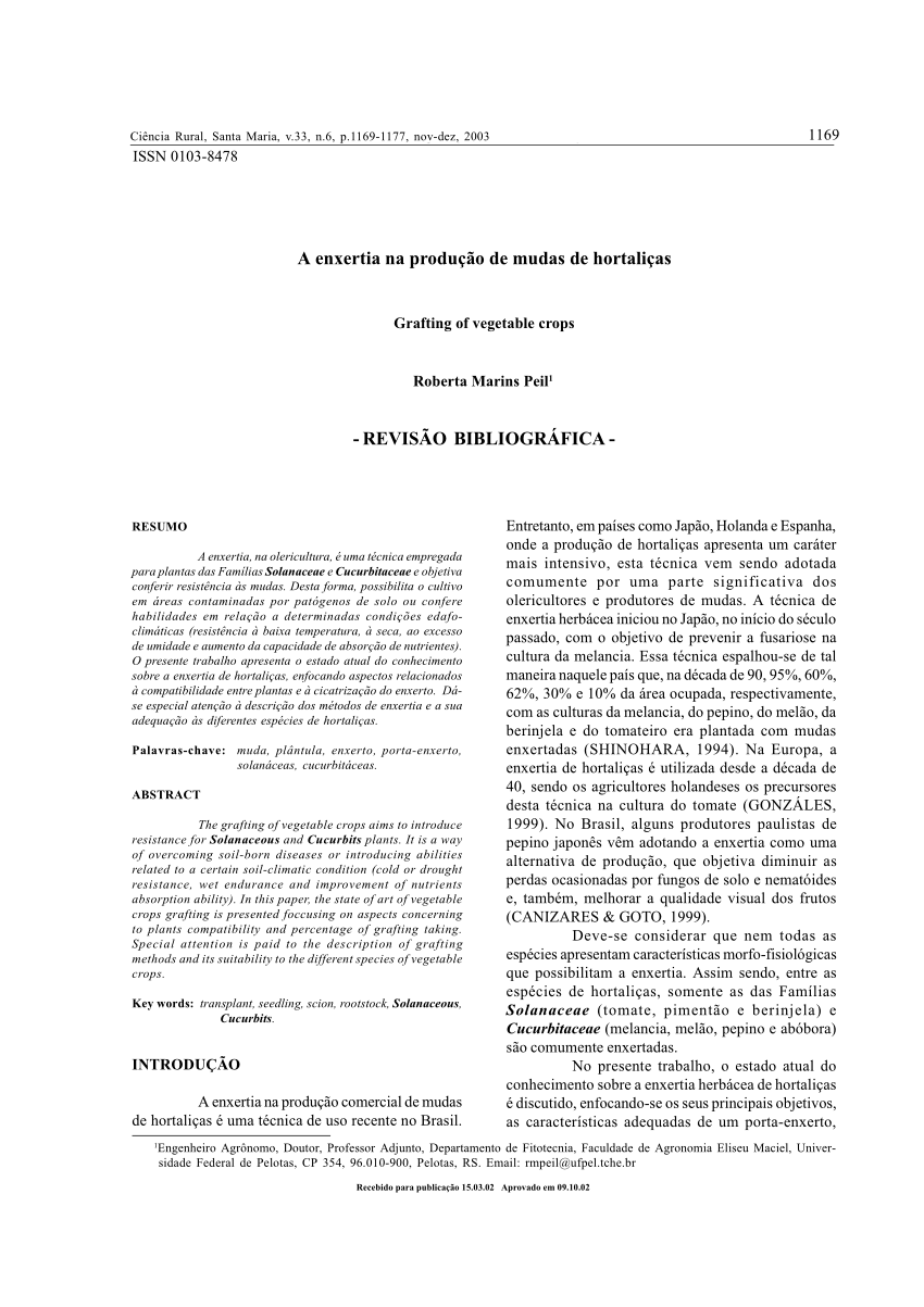 Enxertia em cafeeiros - técnicas novas e mais simples