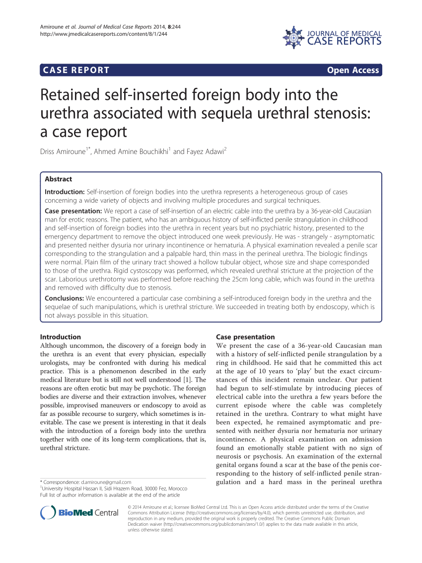 Pdf Retained Self Inserted Foreign Body Into The Urethra Associated With Sequela Urethral 8958