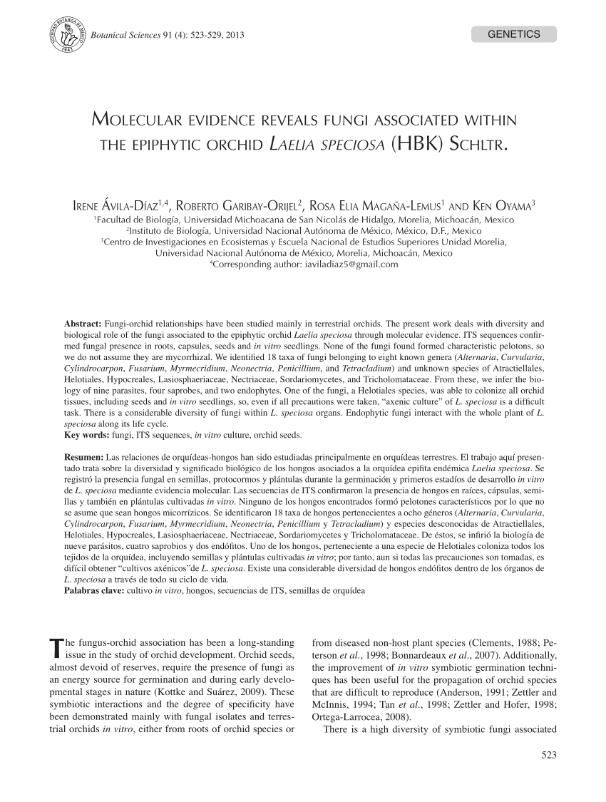 Pdf Molecular Evidence Reveals Fungi Associated Within The Epiphytic Orchid Laelia Speciosa Hbk Schltr