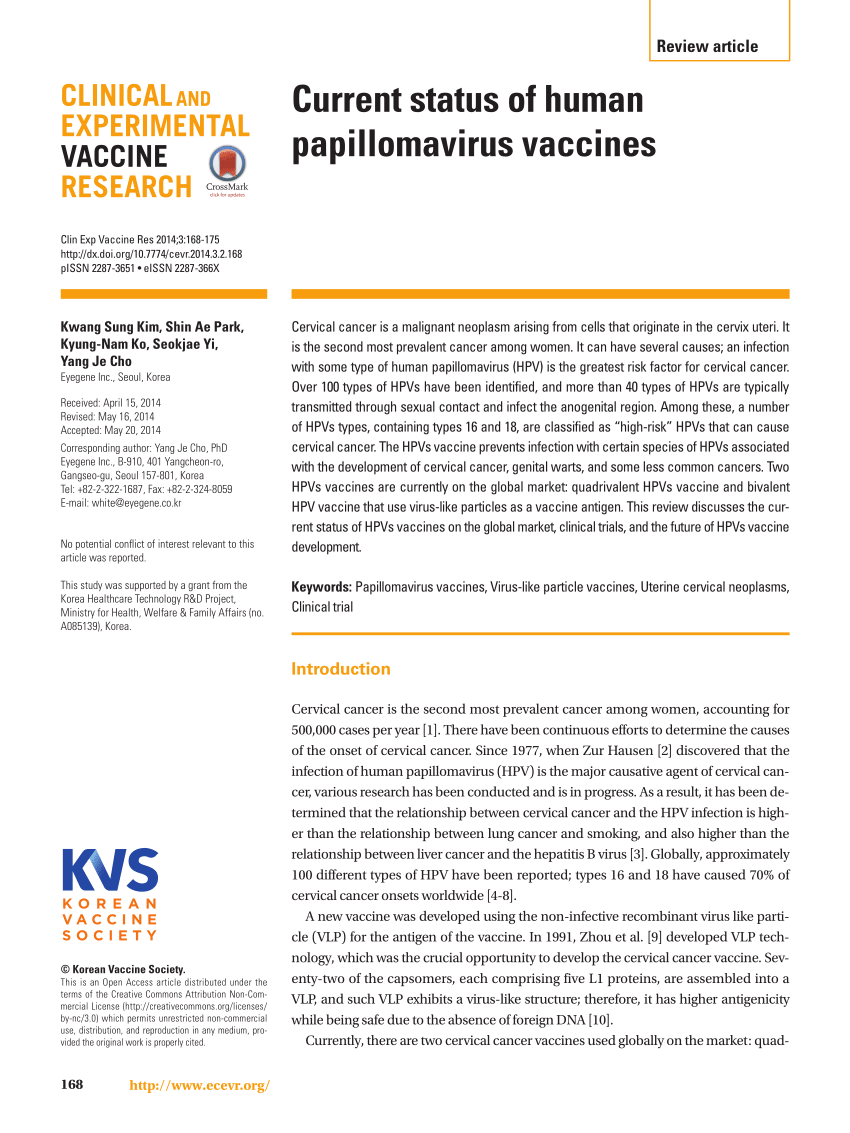 human papillomavirus vaccine discovery