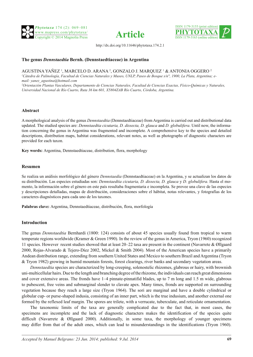 PDF) Spore morphology and ultrastructure of Dennstaedtiaceae from