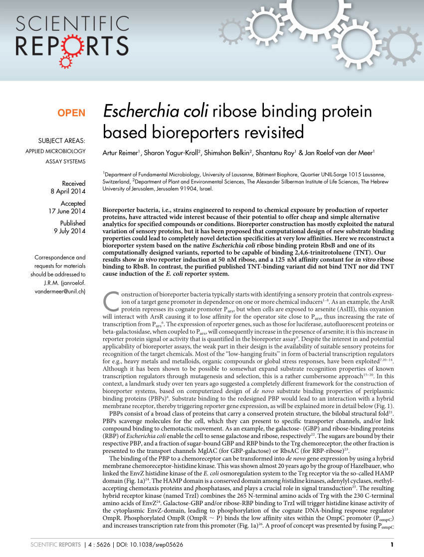 PDF) CORRIGENDUM: Escherichia coli ribose binding protein based ...