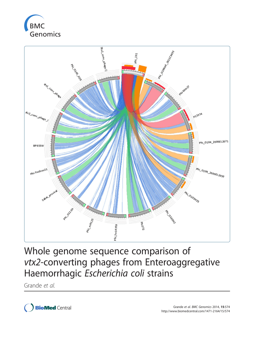 PDF) Whole genome sequence comparison of Verocytotoxin2-converting ...