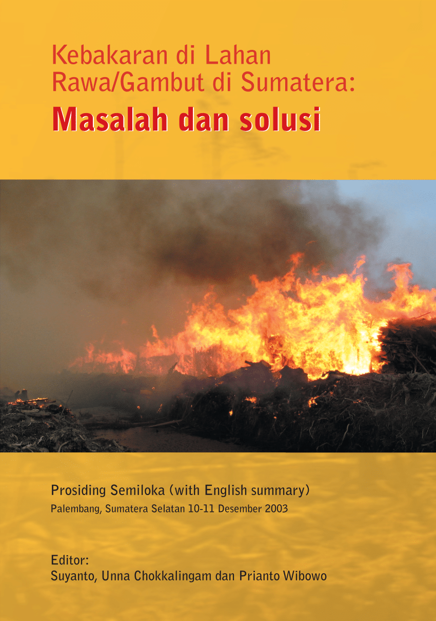 Pdf Kebakaran Di Lahan Rawa Gambut Di Sumatera Masalah Dan