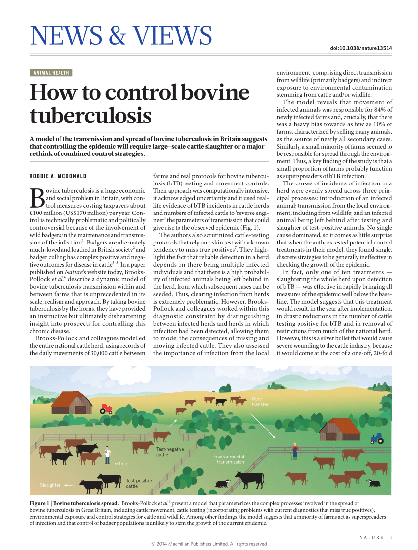 literature review bovine tuberculosis