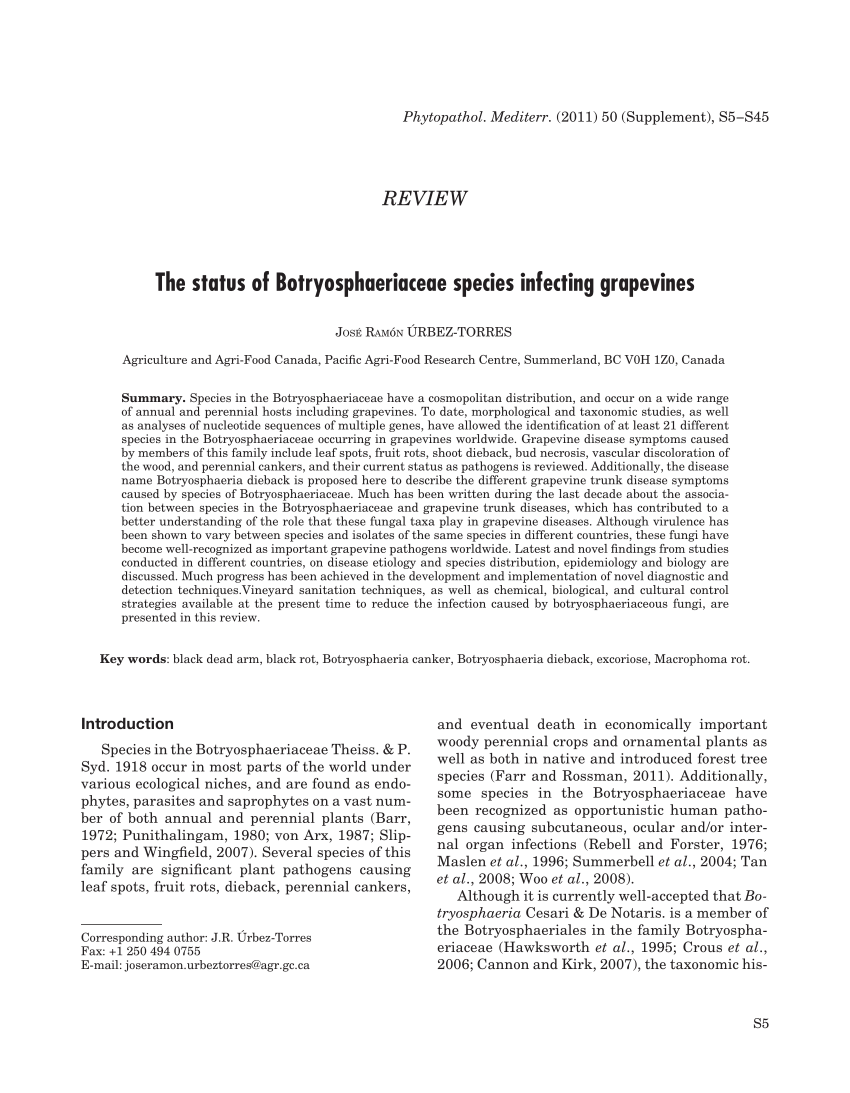 Pdf The Status Of Botryosphaeriaceae Species Infecting Grapevines