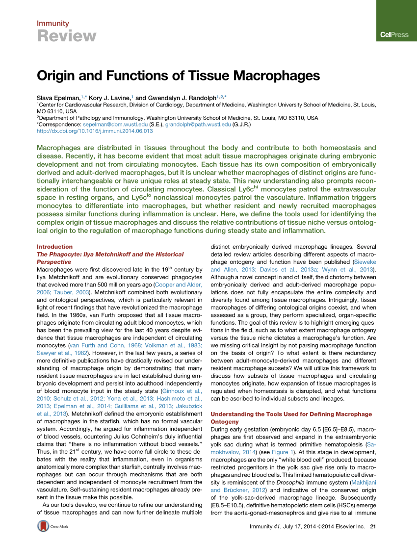 Pdf Origin And Functions Of Tissue Macrophages