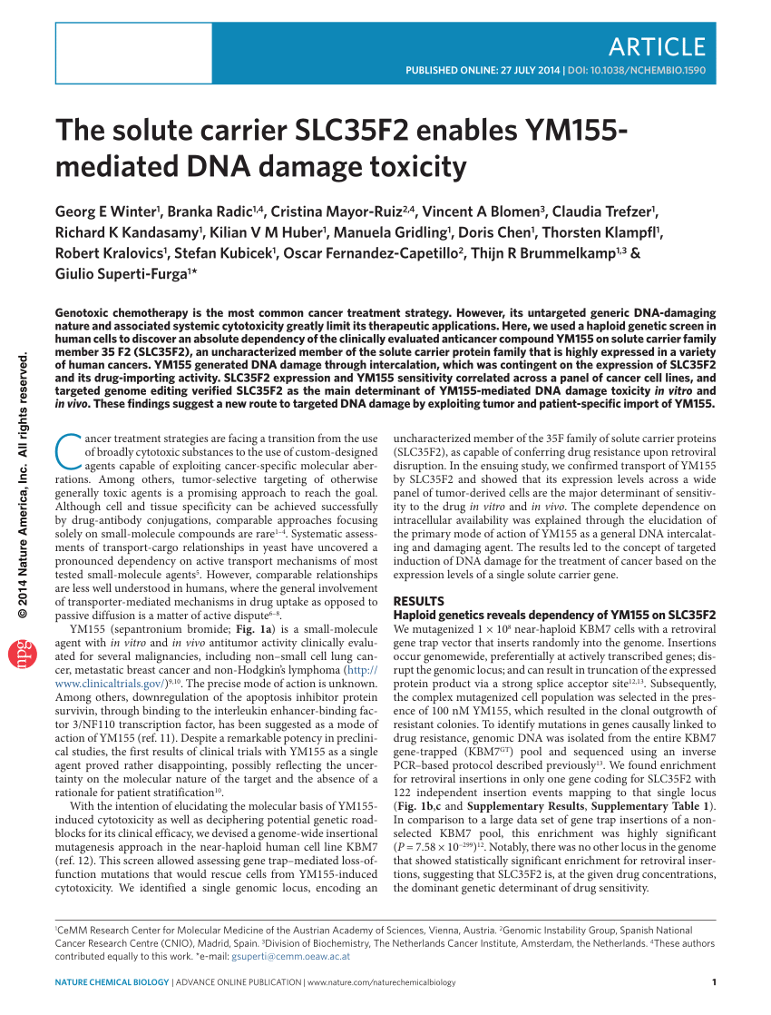 A Cell Type Selective YM155 Prodrug Targets Receptor-Interacting Protein  Kinase 2 to Induce Brain Cancer Cell Death