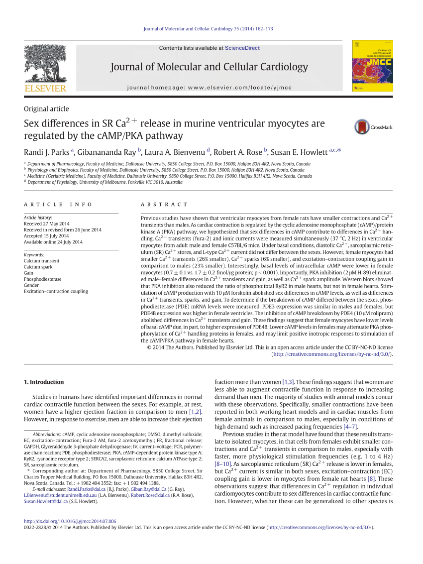 PDF) Sex differences in SR Ca2+ release in murine ventricular