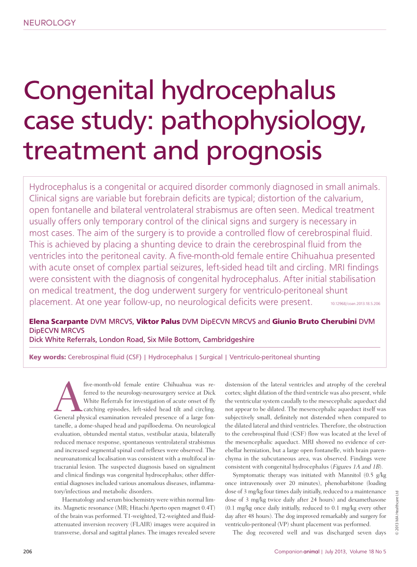 case study on hydrocephalus scribd