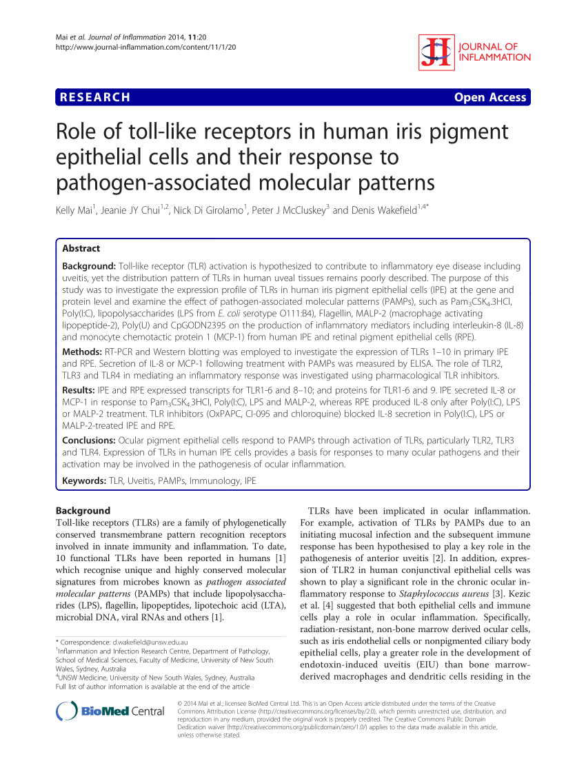 (PDF) Role of toll-like receptors in human iris pigment epithelial