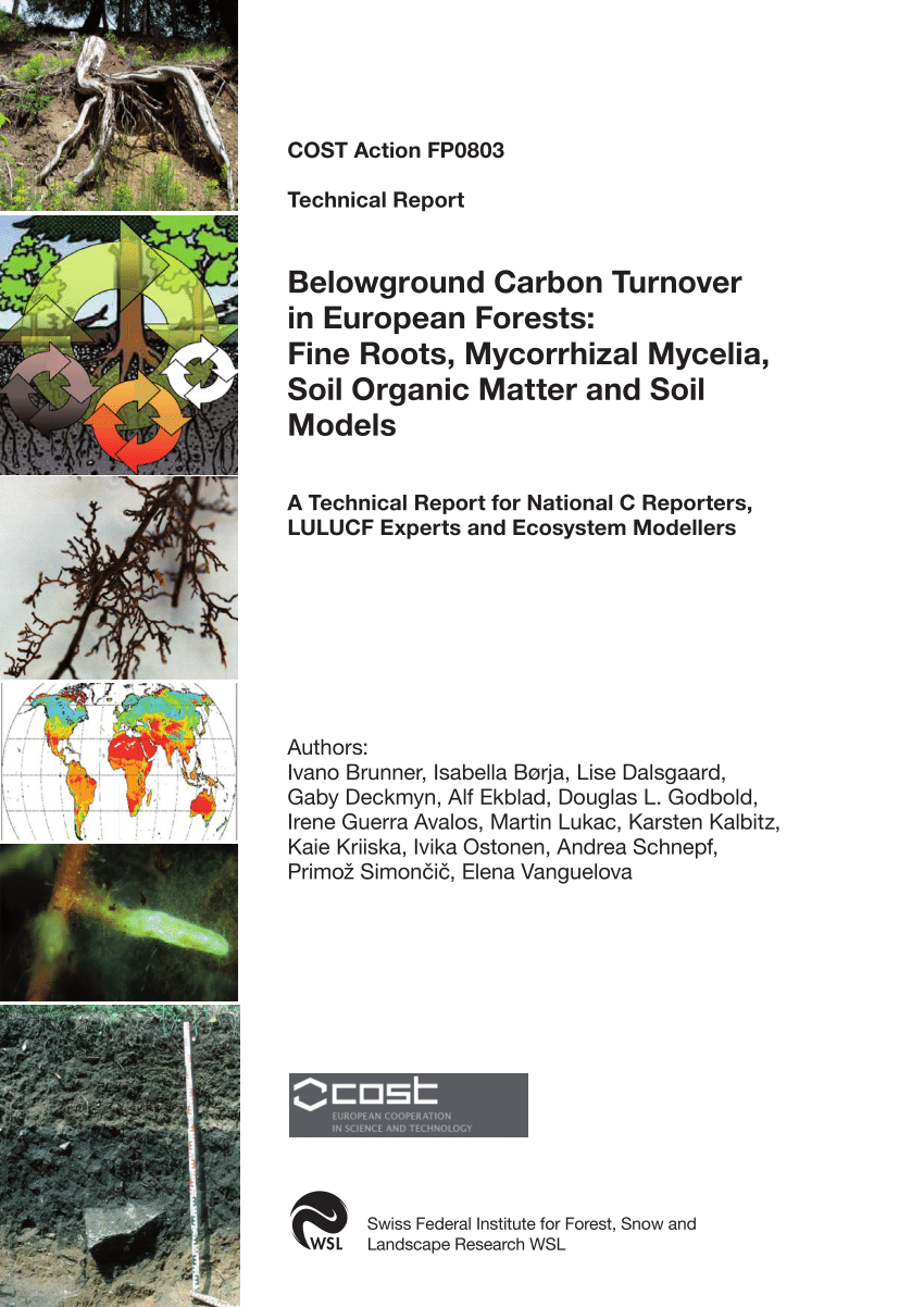 PDF) Belowground Carbon Turnover in European Forests: Fine Roots ...