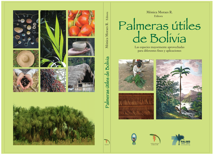 Pdf Patrones De Uso De Las Palmeras En Bosques Amazonicos Y