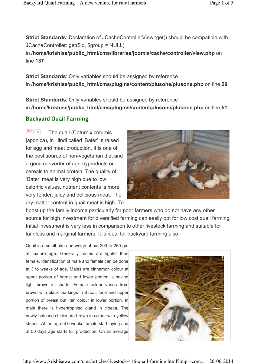 sample business plan for quail farming