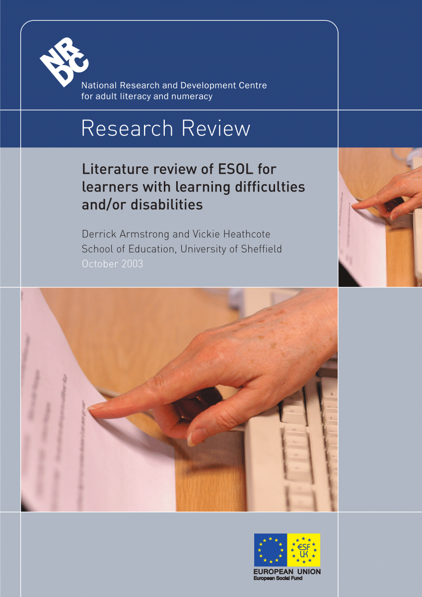 literature review learning difficulties