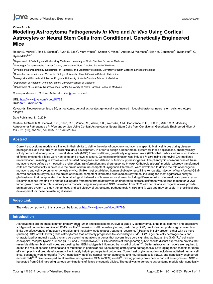 Pdf Modeling Astrocytoma Pathogenesis In Vitro And In Vivo Using Cortical Astrocytes Or Neural Stem Cells From Conditional Genetically Engineered Mice