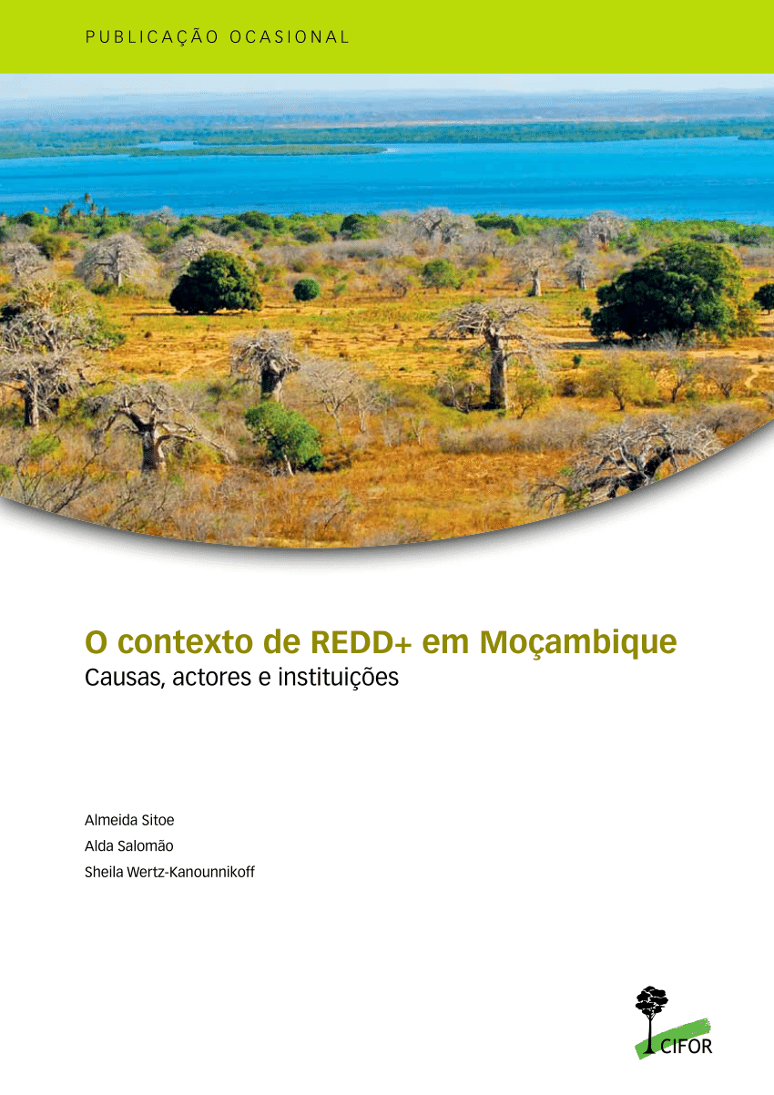 PDF) O contexto do REDD+ em Moçambique: causas, actores e instituições