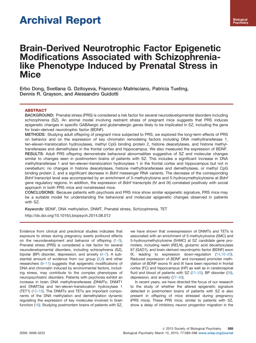 PDF BDNF Epigenetic Modifications Associated with Schizophrenia  