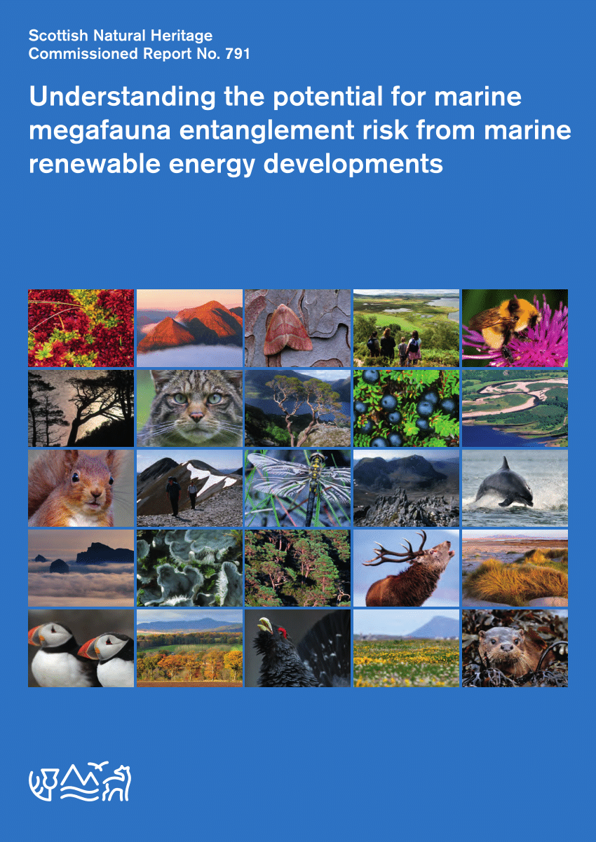 Pdf Understanding The Potential For Marine Megafauna Entanglement Risk From Marine Renewable Energy Developments - aquaret roblox sim