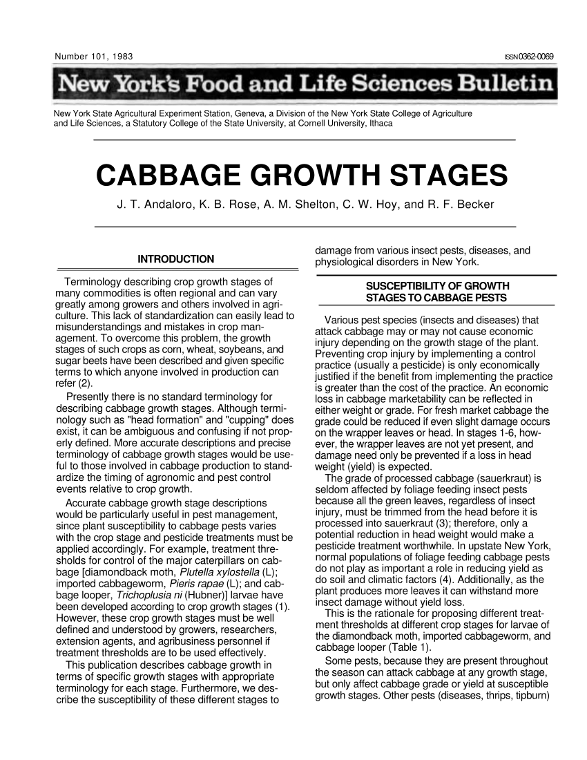 literature review on cabbage pdf