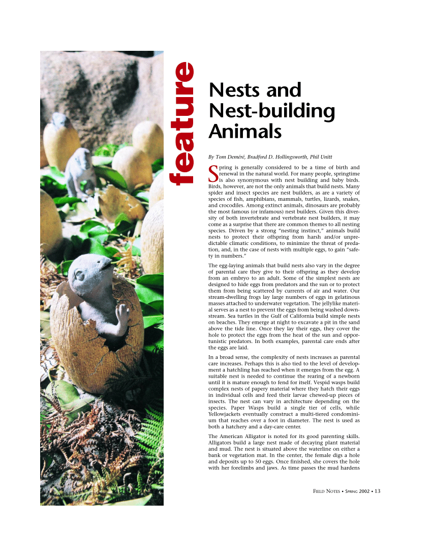PDF) Nests and Nest-building Animals