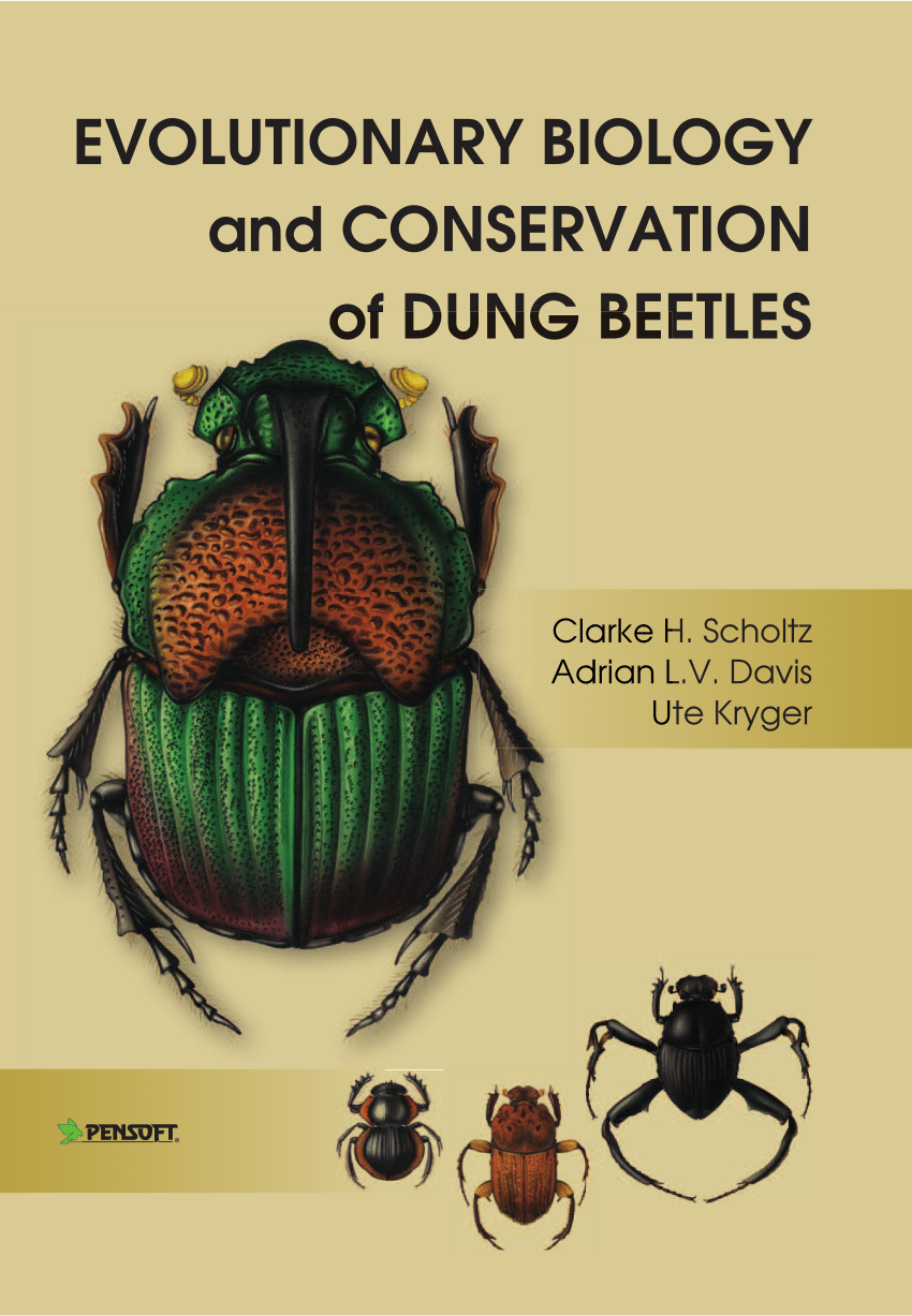 PDF) Evolutionary Biology and Conservation of Dung Beetle