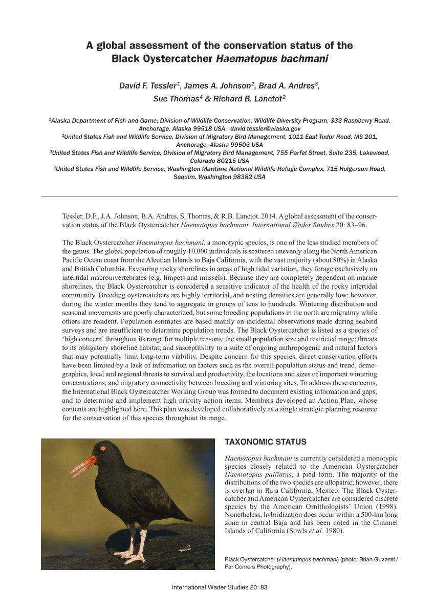 PDF) A global assessment of the conservation status of the Black  Oystercatcher (Haematopus bachmani).