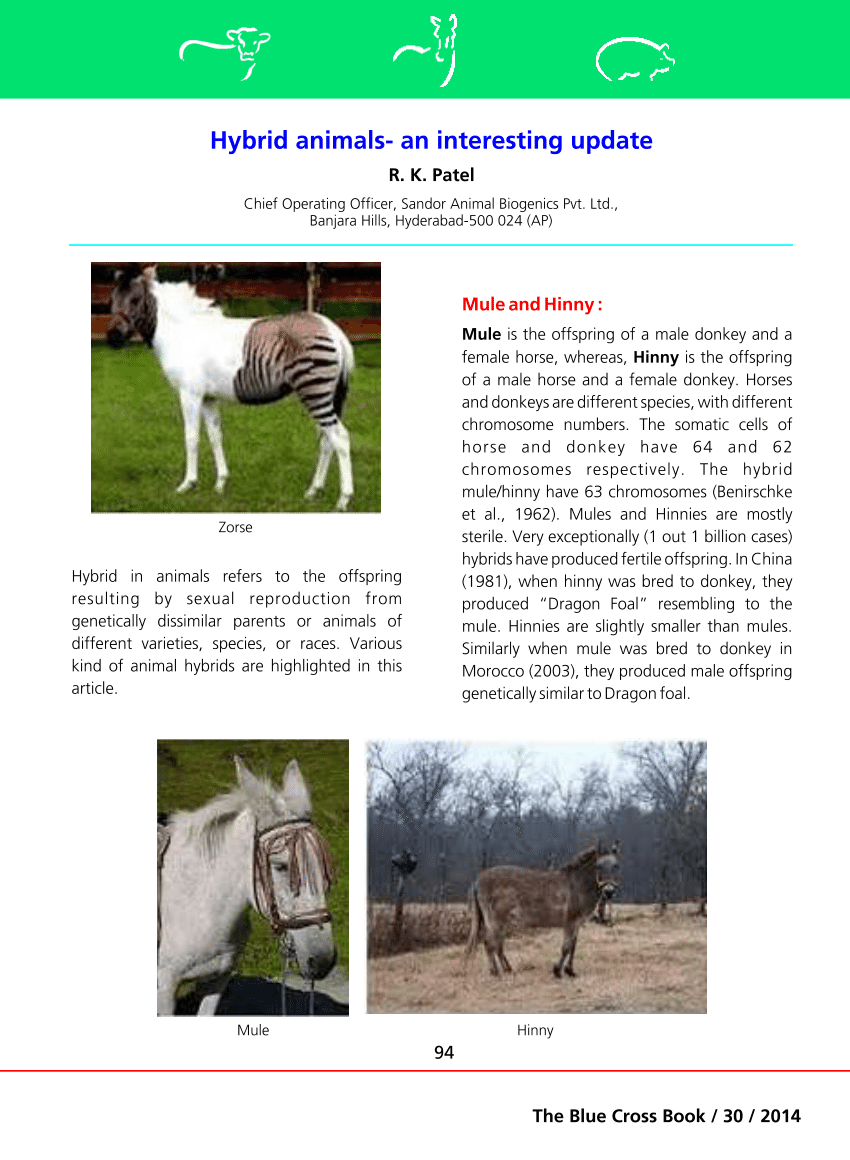 (PDF) Hybrid animals- an interesting update