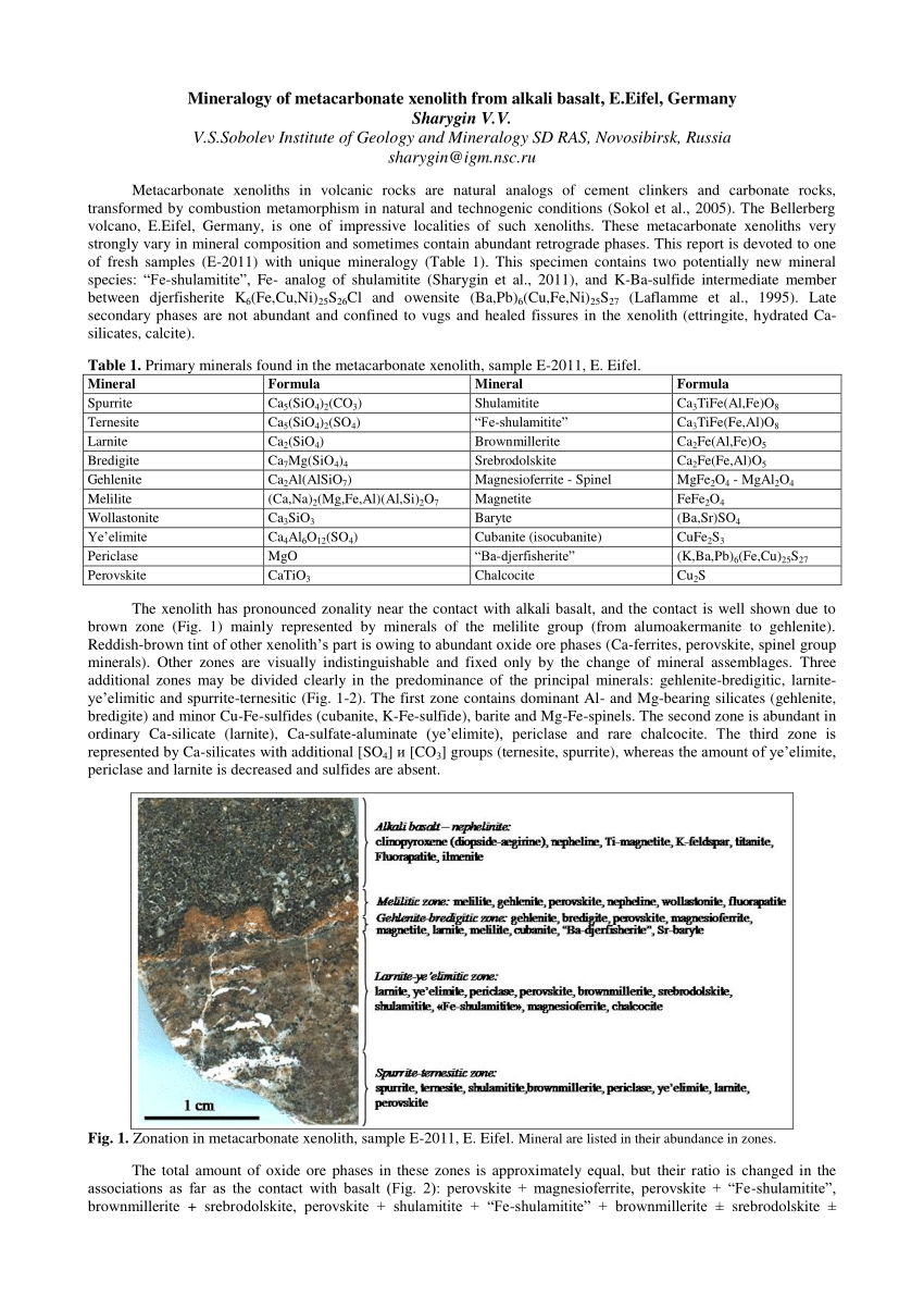 Pdf Mineralogy Of Metacarbonate Xenolith From Alkali Basalt E Eifel Germany