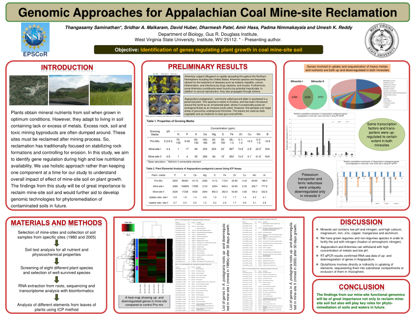 (PDF) Genomic Approaches for Appalachian Coal Mine-site Reclamation