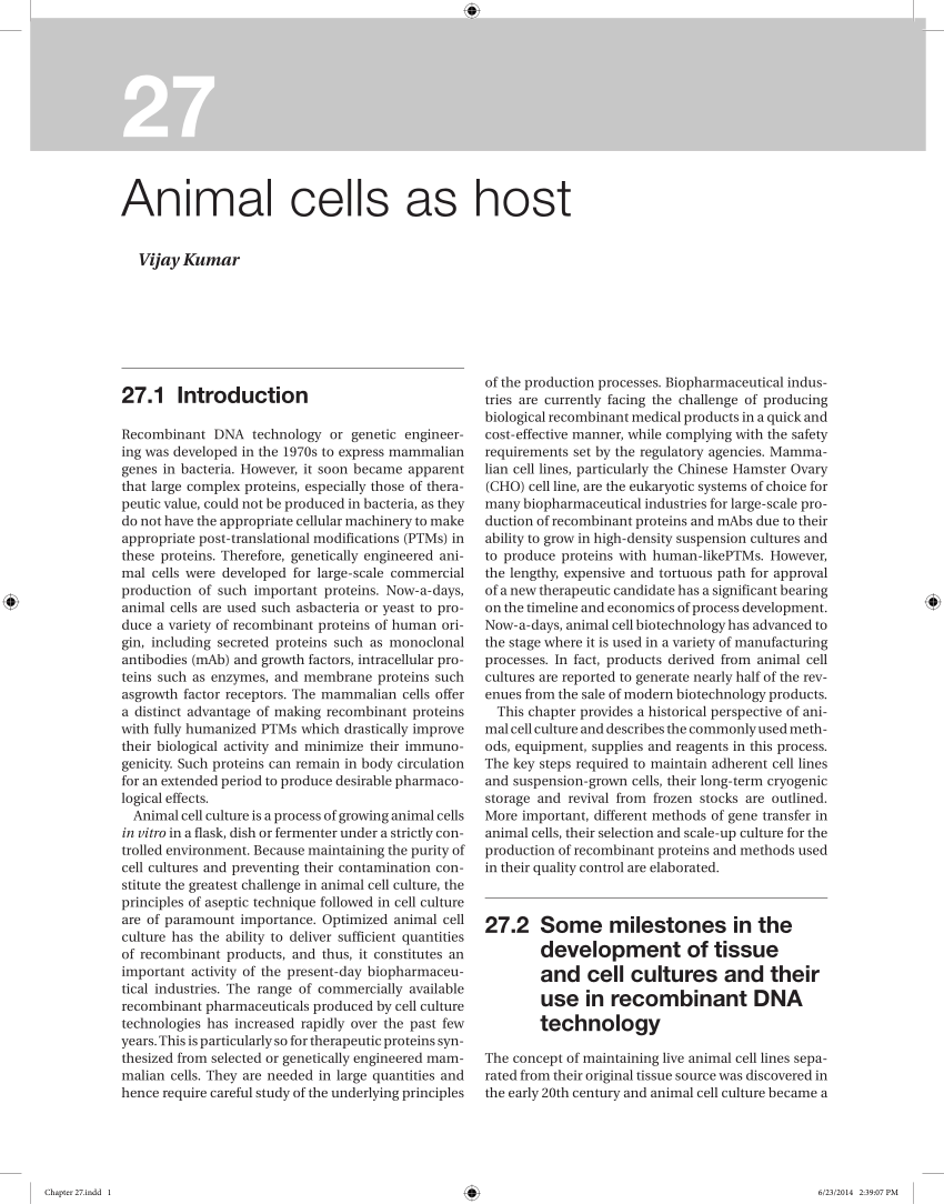 PDF) Animal cells as host