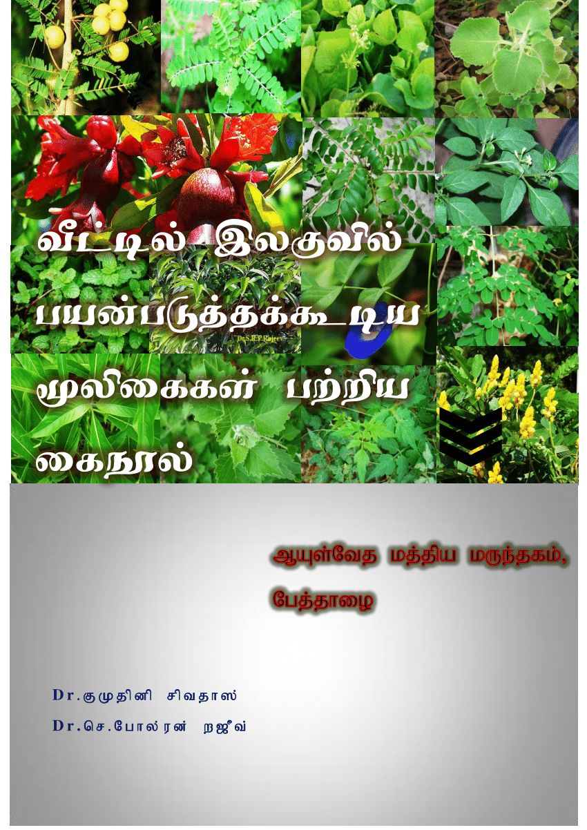 Hibiscus Flower Translation In Tamil | Best Flower Site