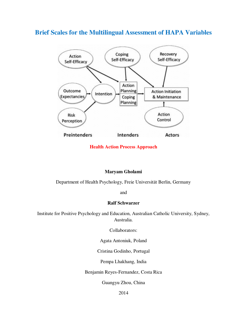 Pdf Hapa Brief Scales