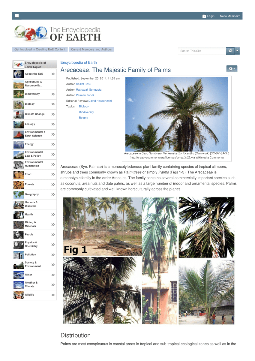 Pdf Arecaceae The Majestic Family Of Palms