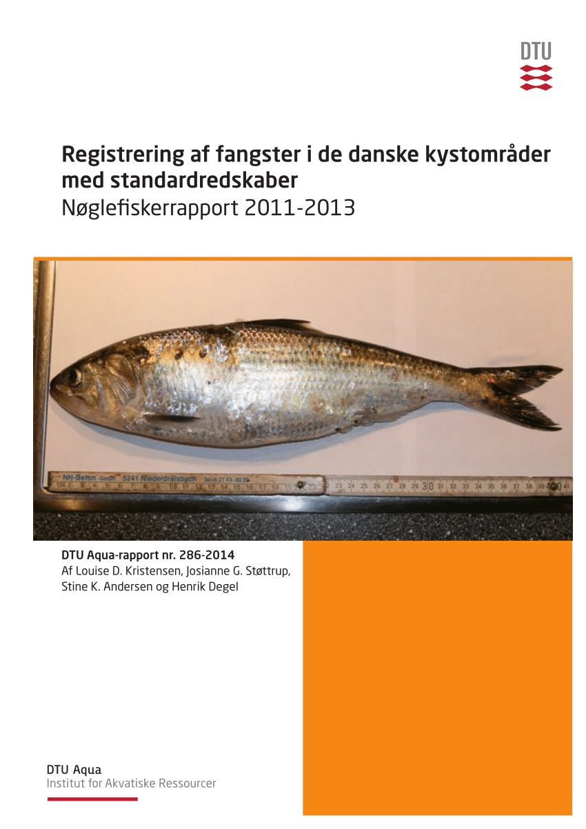 PDF) Registrering af fangster i de danske med standardredskaber. Nøglefiskerrapport 2011-2013