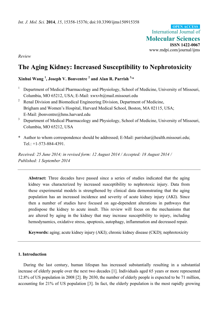 Sensitivity Of The Segmental Renal Arterioles To Angiotensin Ii In