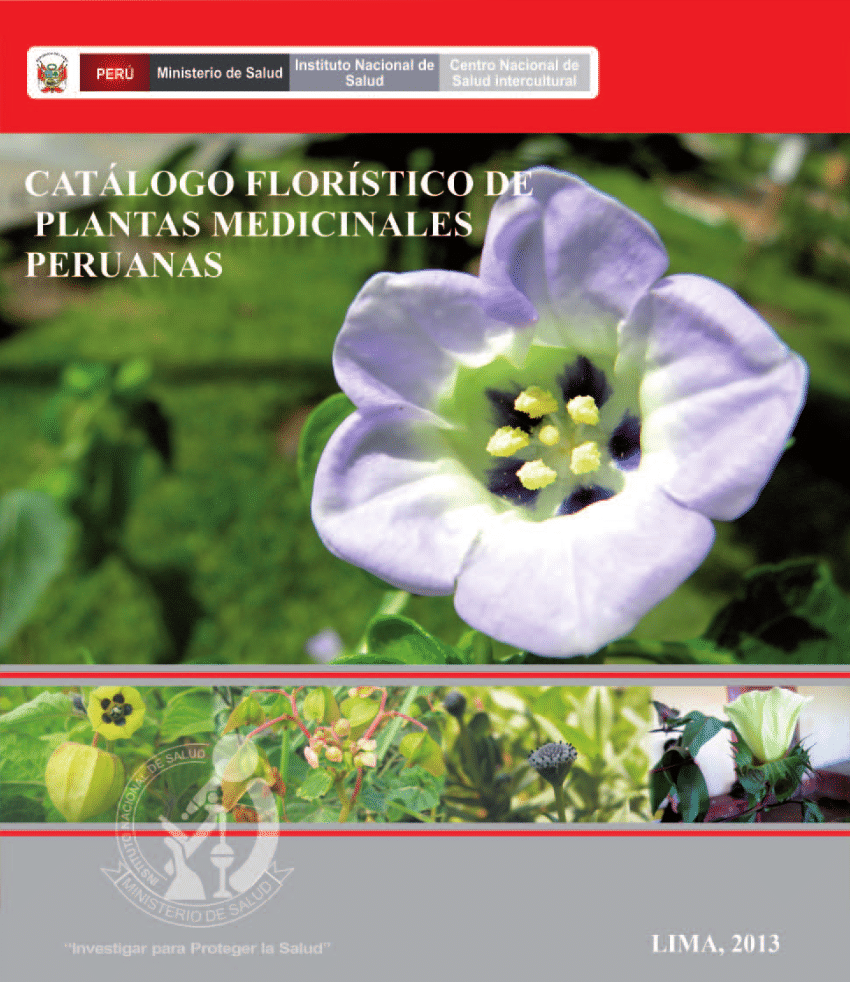 Pdf Catalogo Floristico De Plantas Medicinales Peruanas