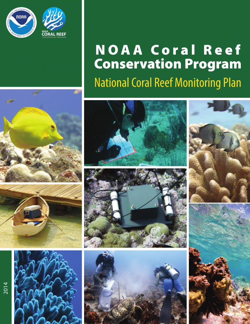 coral reef research paper topics
