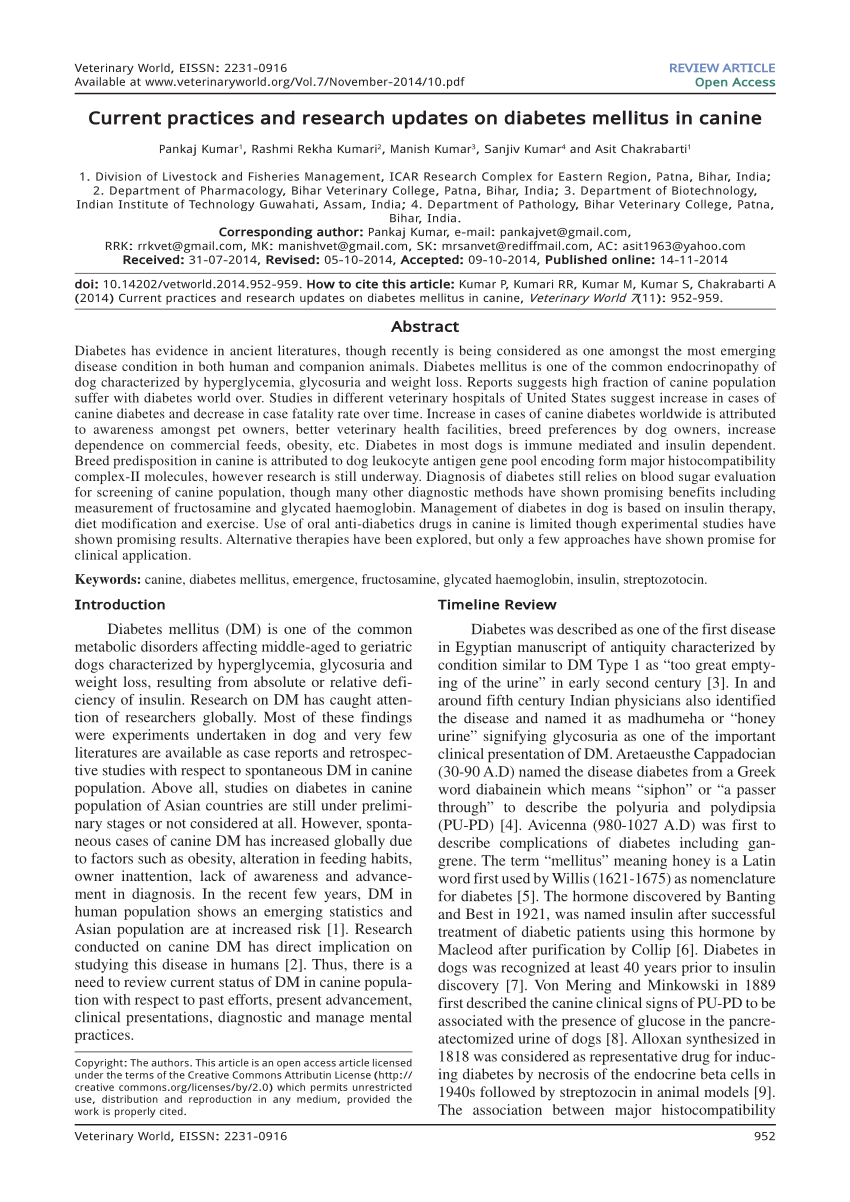 research paper on diabetes mellitus pdf)