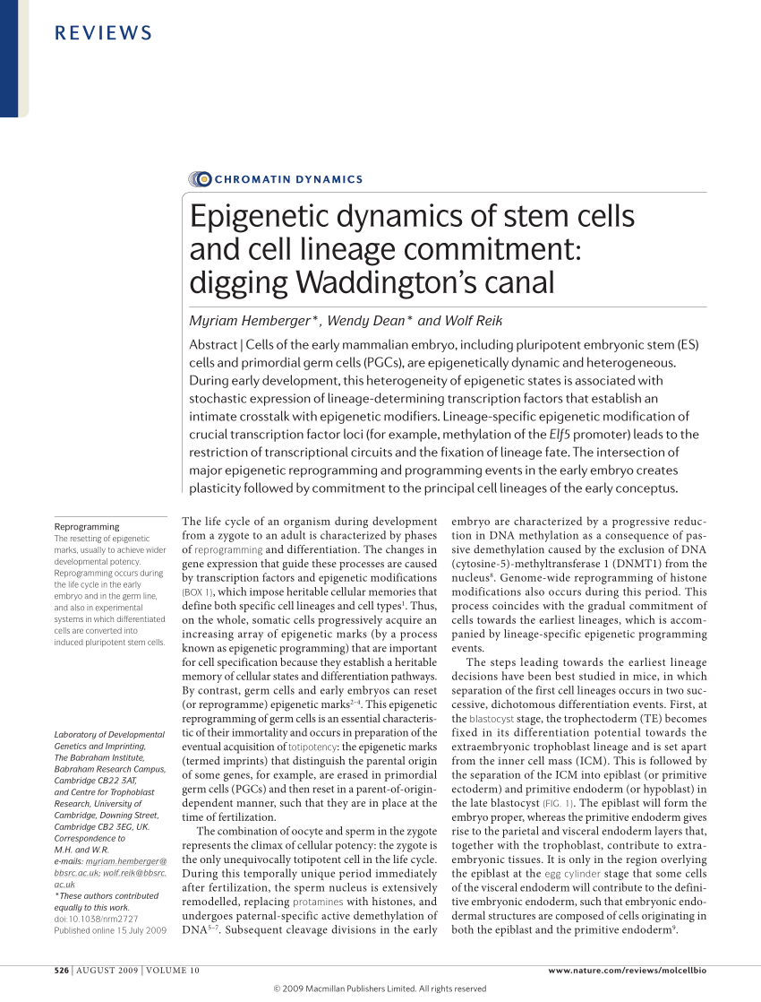 PDF) Hemberger M, Dean W, Reik W. Epigenetic dynamics of stem ...