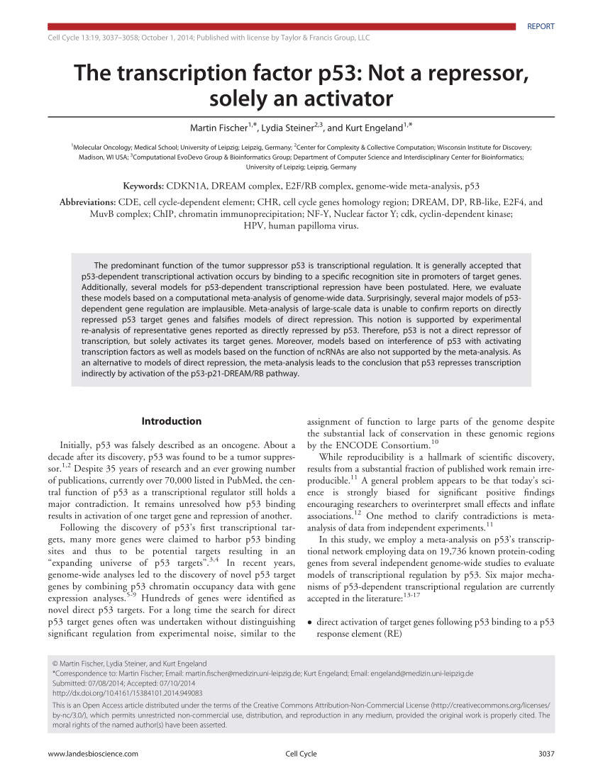 PDF) The transcription factor p53: Not a repressor, solely an 