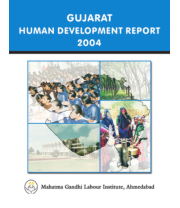 State human development report gujarat