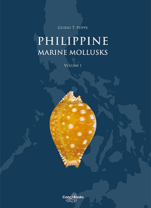 PDF) Philippine Marine Mollusks Vol. I