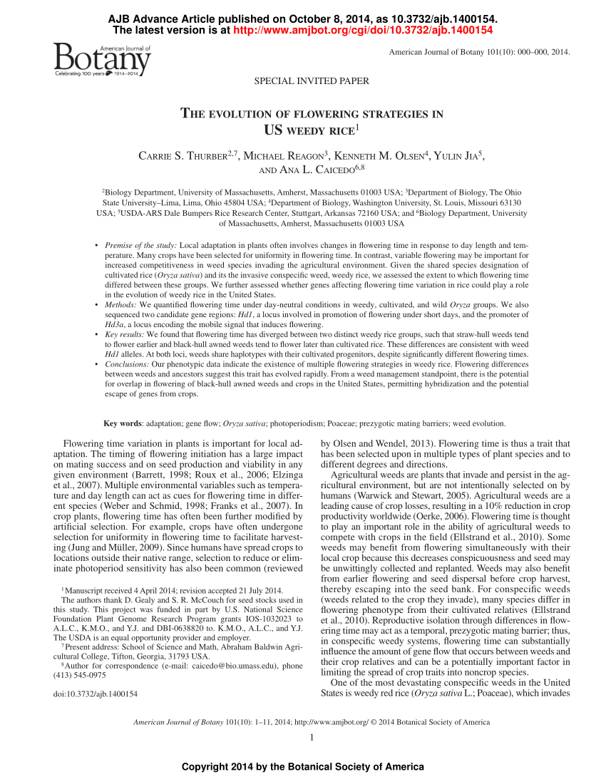 Pdf The Evolution Of Flowering Strategies In Us Weedy Rice