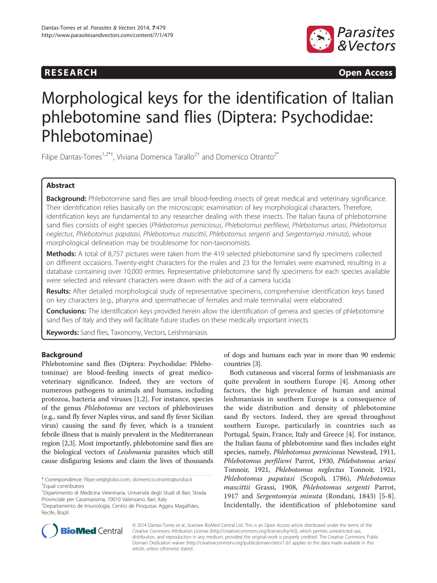 Pdf Morphological Keys For The Identification Of Italian Phlebotomine Sand Flies Diptera